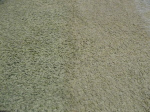 Wykładzina uprana z lewej strony